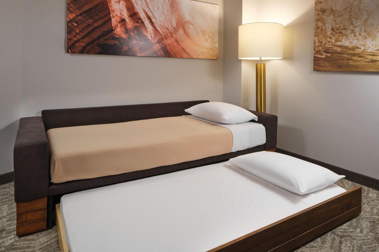 Springhill Suites By Marriott Jacksonville Baymeadows المظهر الخارجي الصورة